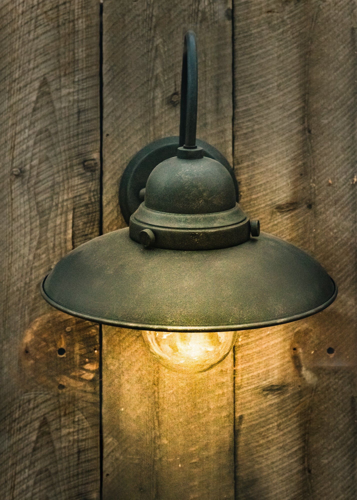 Swan neck hot sale light