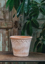 Bergs Potter Rosa Copenhagen Pot 21cm