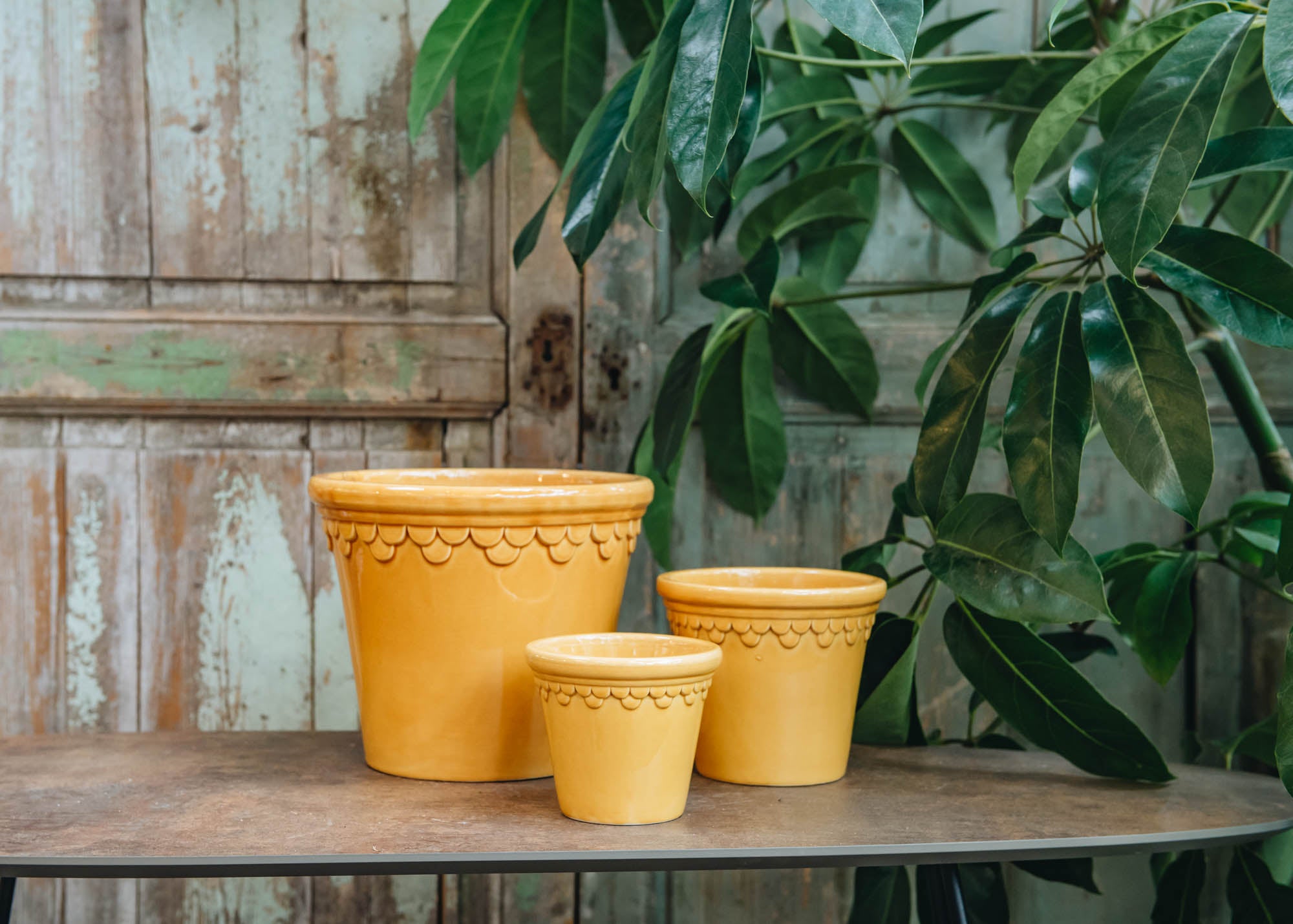 large yellow plant pot uk Amber Yellow Glazed Copenhagen Pots | Pots & Planters