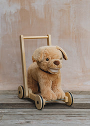 Le Toy Van Push Along Dexter