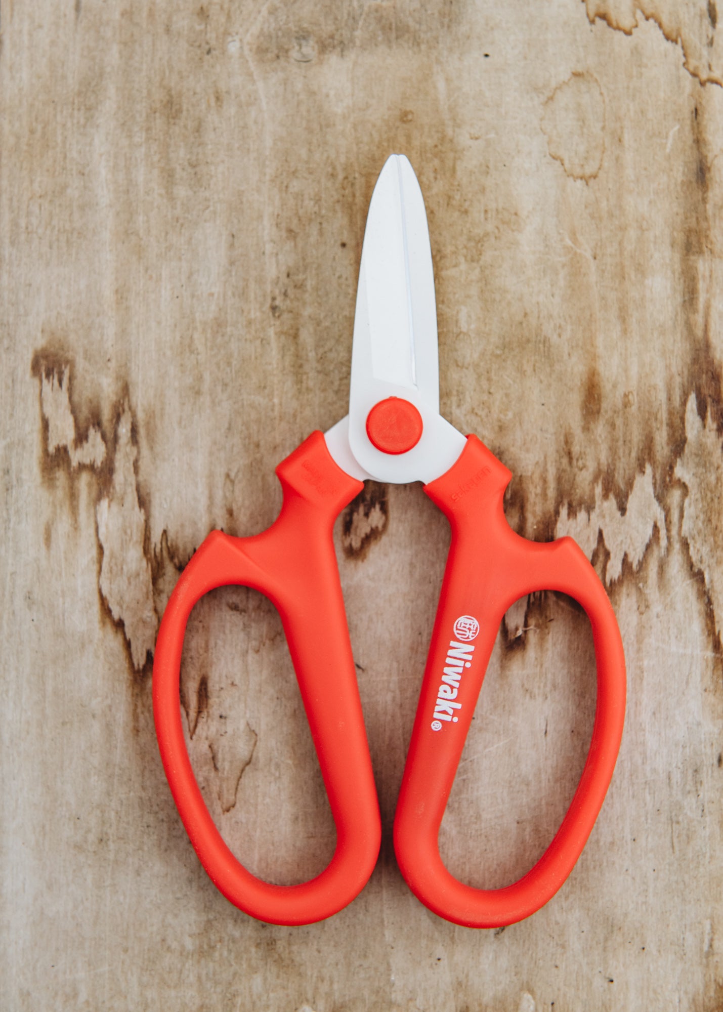 Niwaki Sakagen Flower Scissors in Red Burford Garden Co