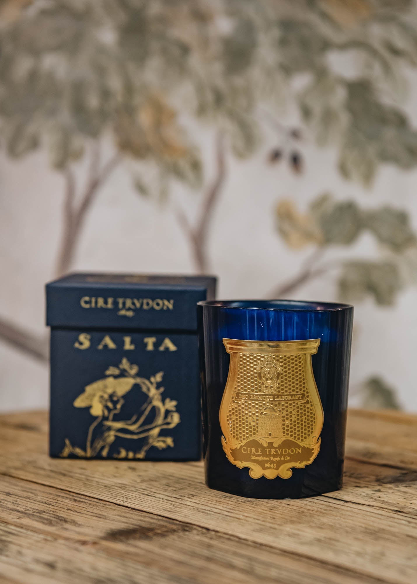 Cire Trudon Salta Scented Candles Home Fragrance Burford Garden Co.