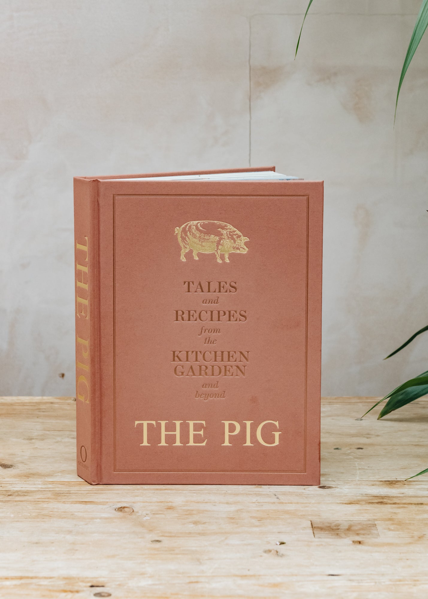 The PIG: Tales & Recipes From The Kitchen Garden & Beyond