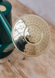 Haws Haws Traditional Watering Can in Green 4.5l