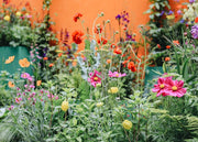 The Colours of Chelsea Flower Show 2026