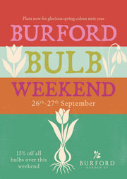 Burford's Bulb Weekend: A Celebration of Spring Flowering Bulbs