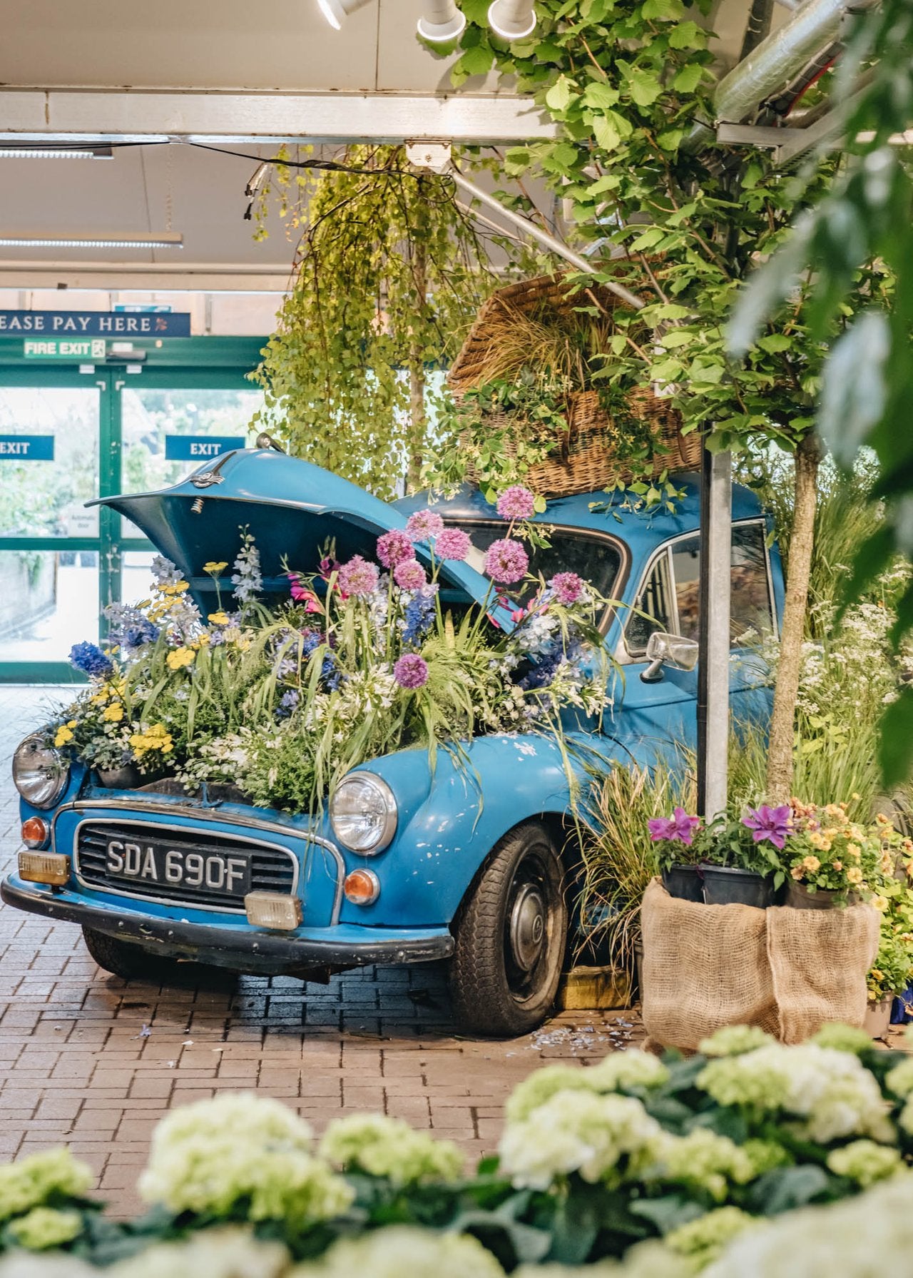 A Blooming Tribute: Creating our Chelsea Inspired Floral Installation