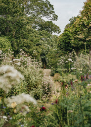 Resilience in the garden