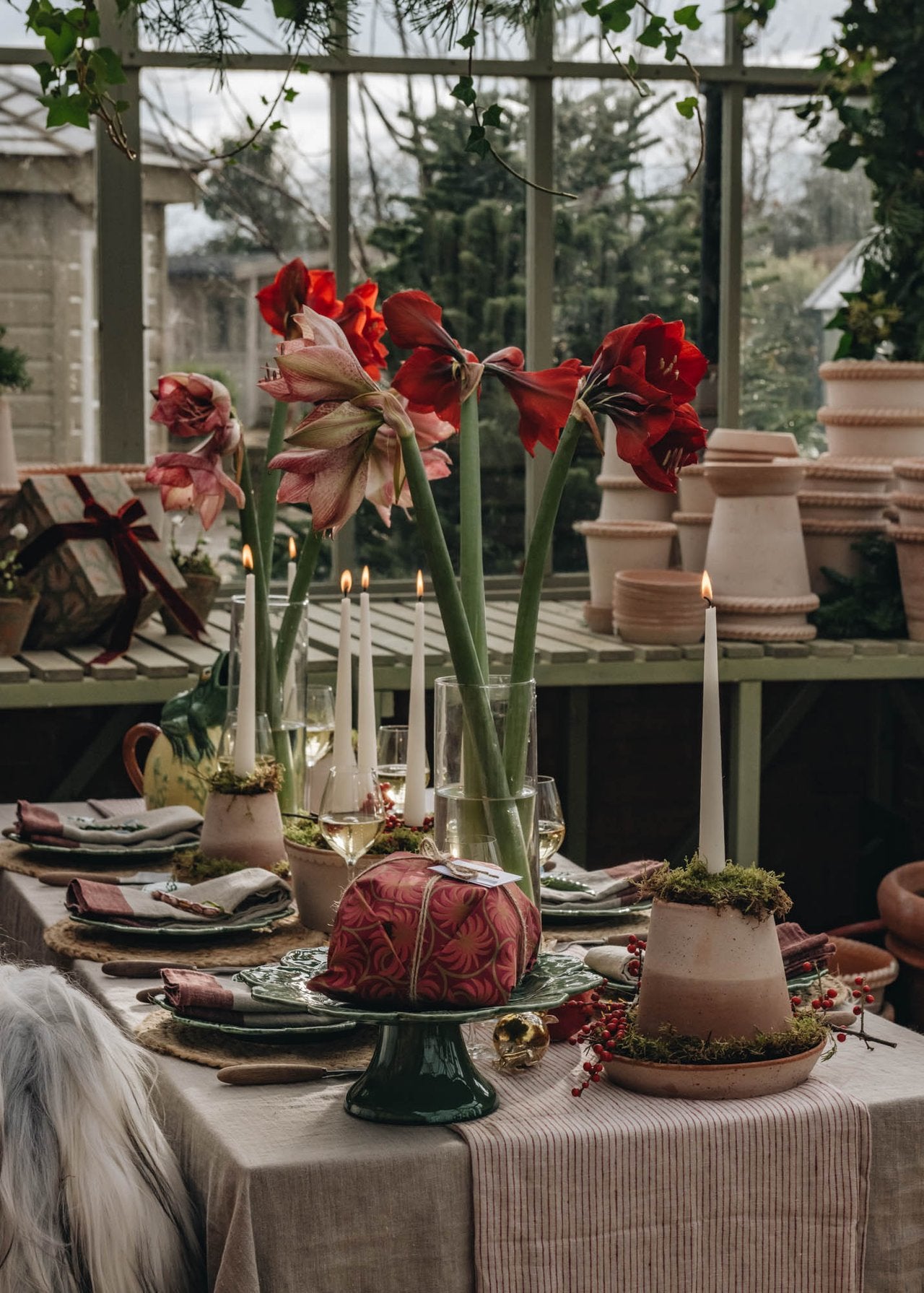 Christmas in the Greenhouse