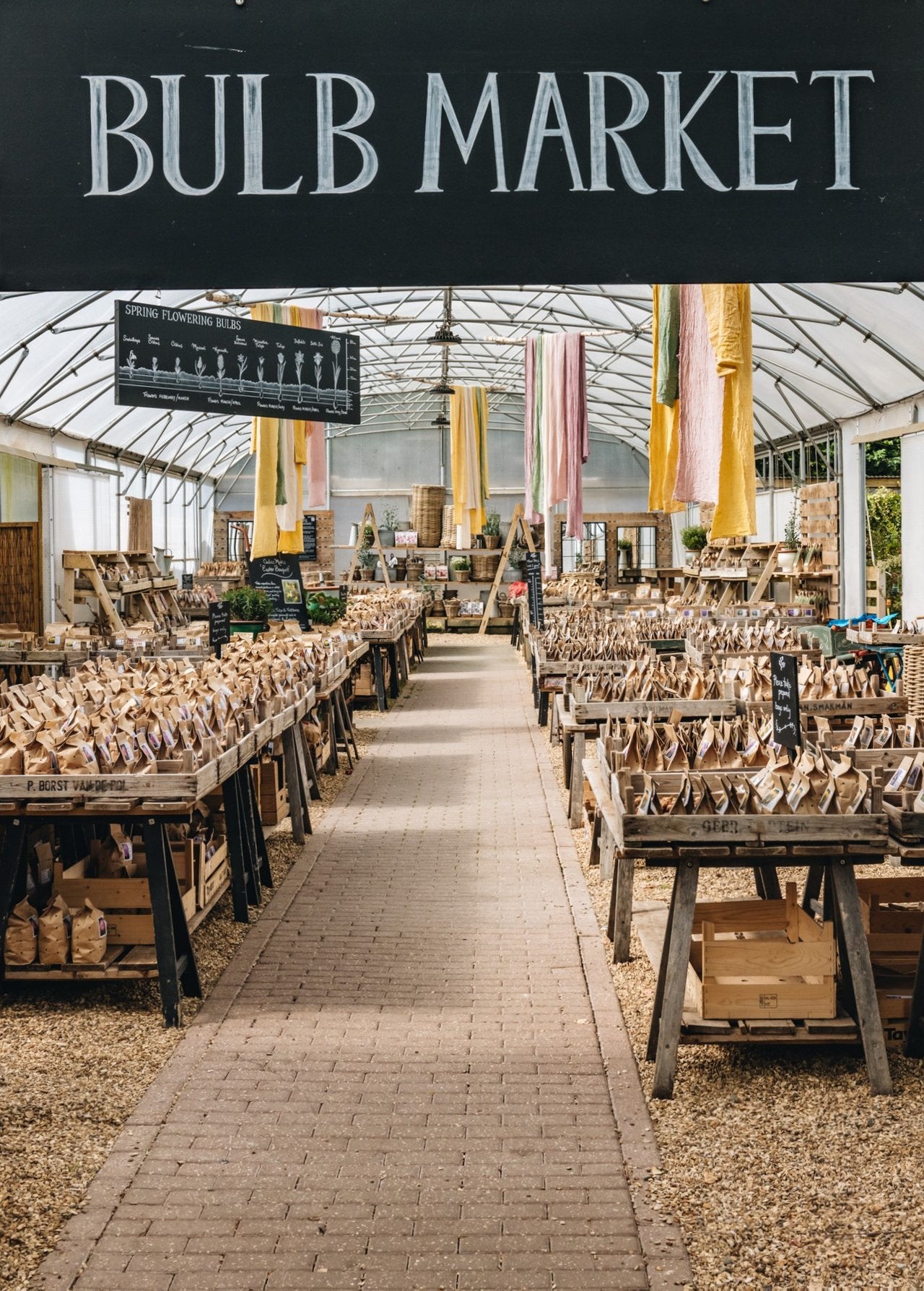 Bulb Mania: A Celebration of Spring Flowering Bulbs