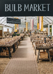 Bulb Mania: A Celebration of Spring Flowering Bulbs