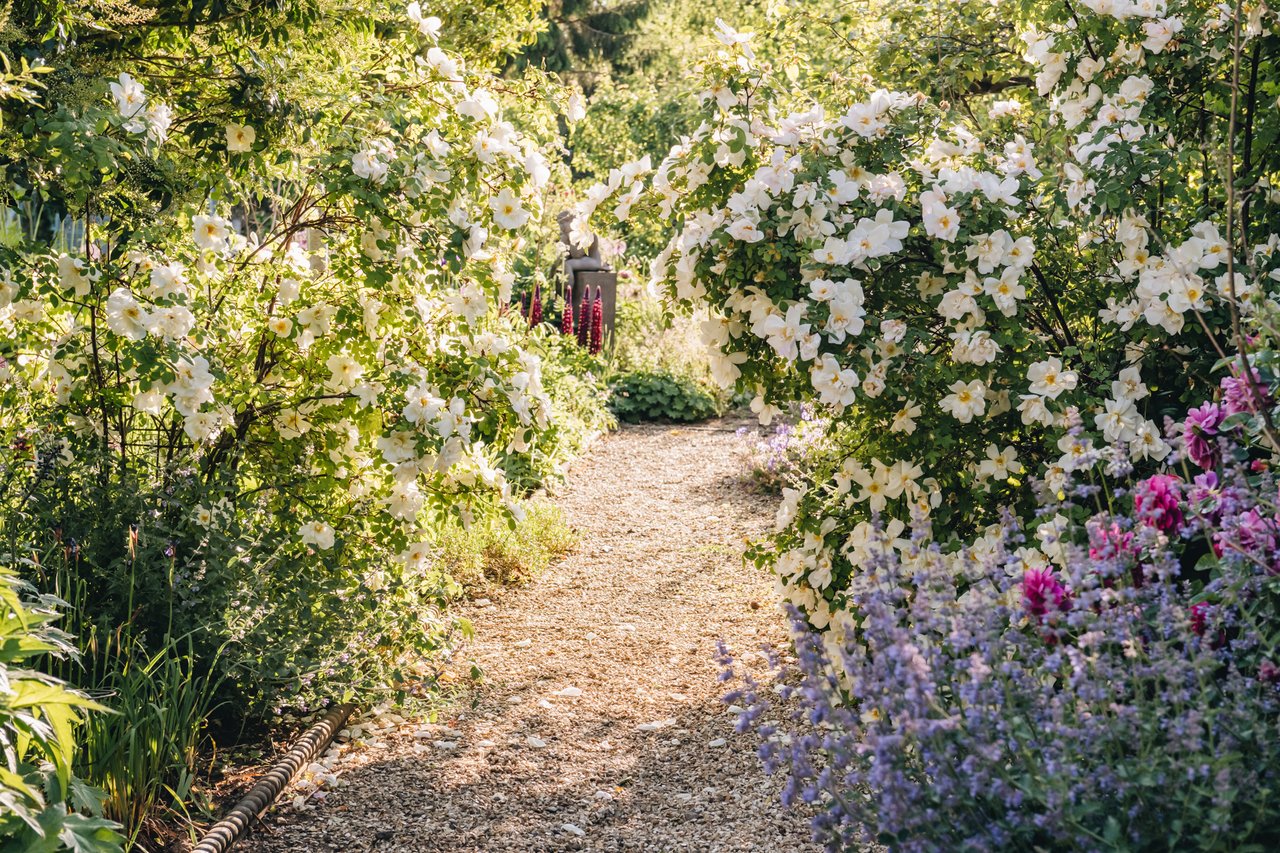 The Scented Garden, Part Two: Summer