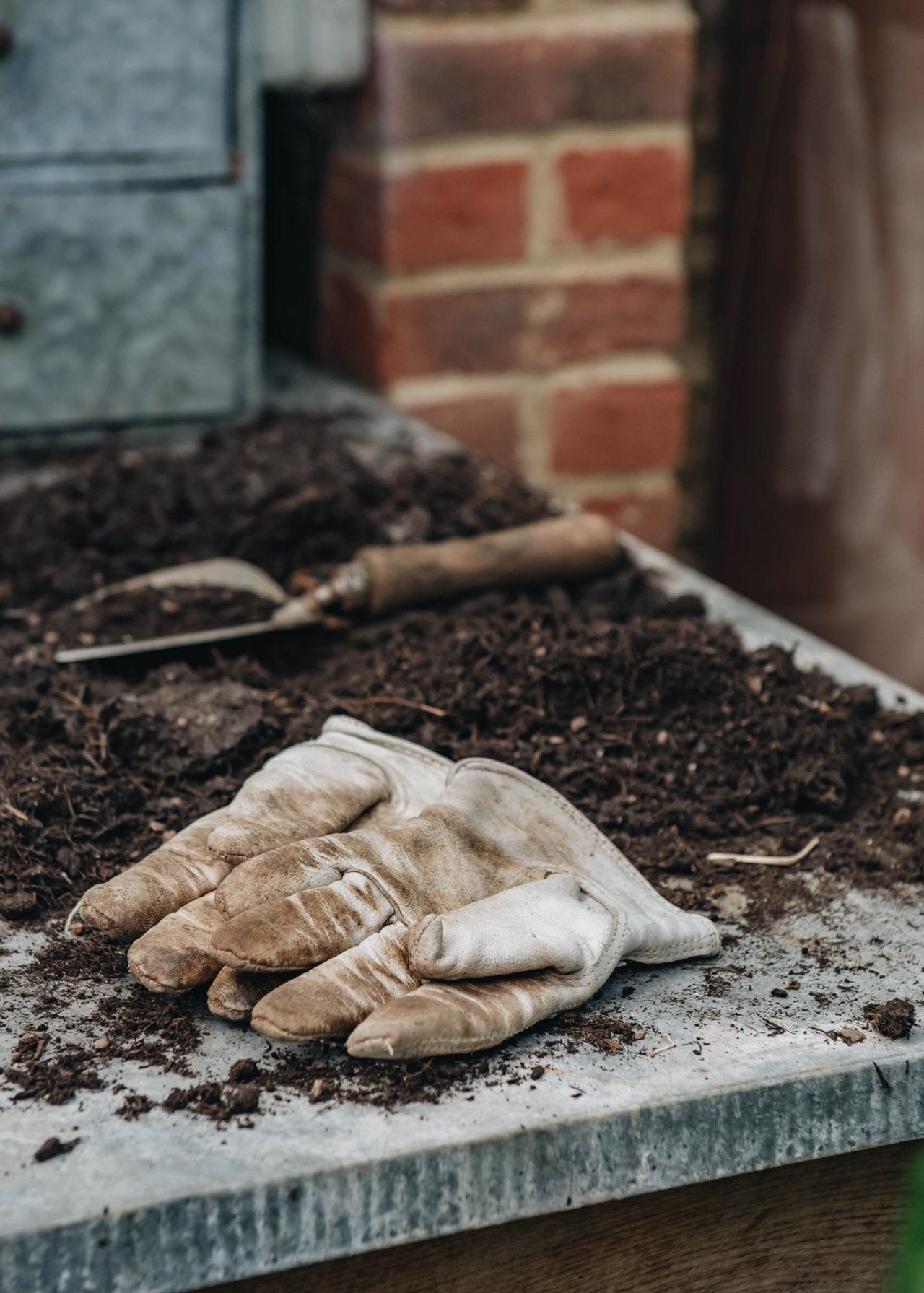 Learn all about Peat-free Compost with Melcourt