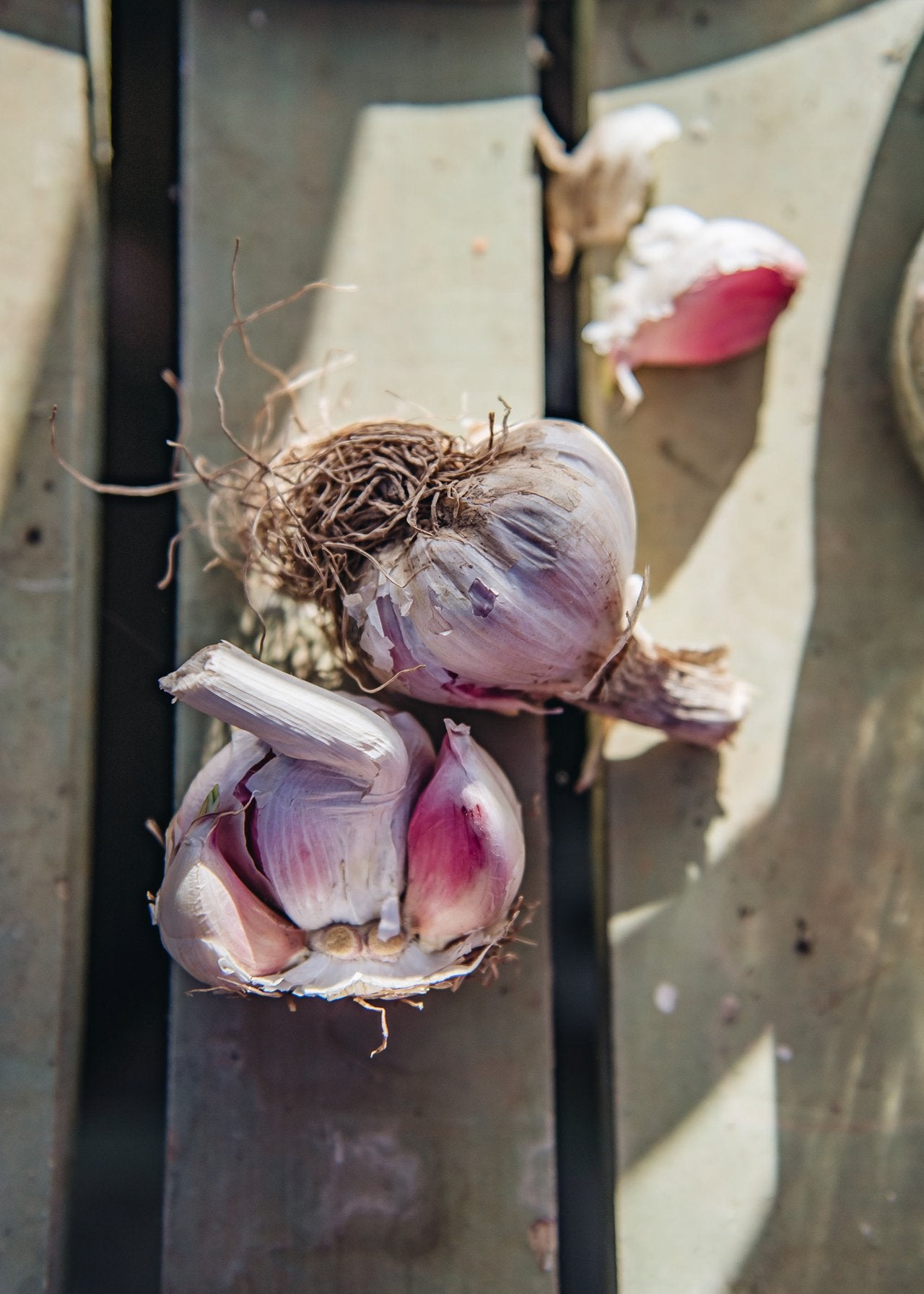 How To: Make a Natural Slug Repellent – Burford Garden Co.