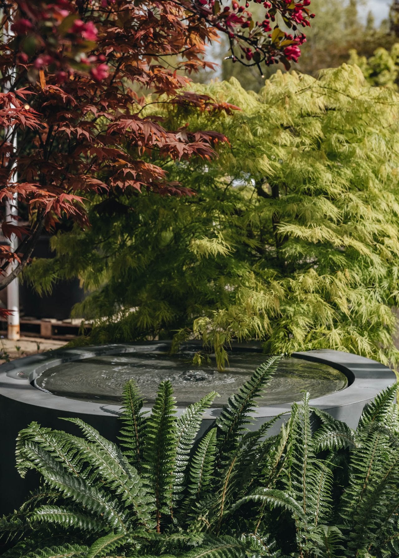 Choosing your Water Feature