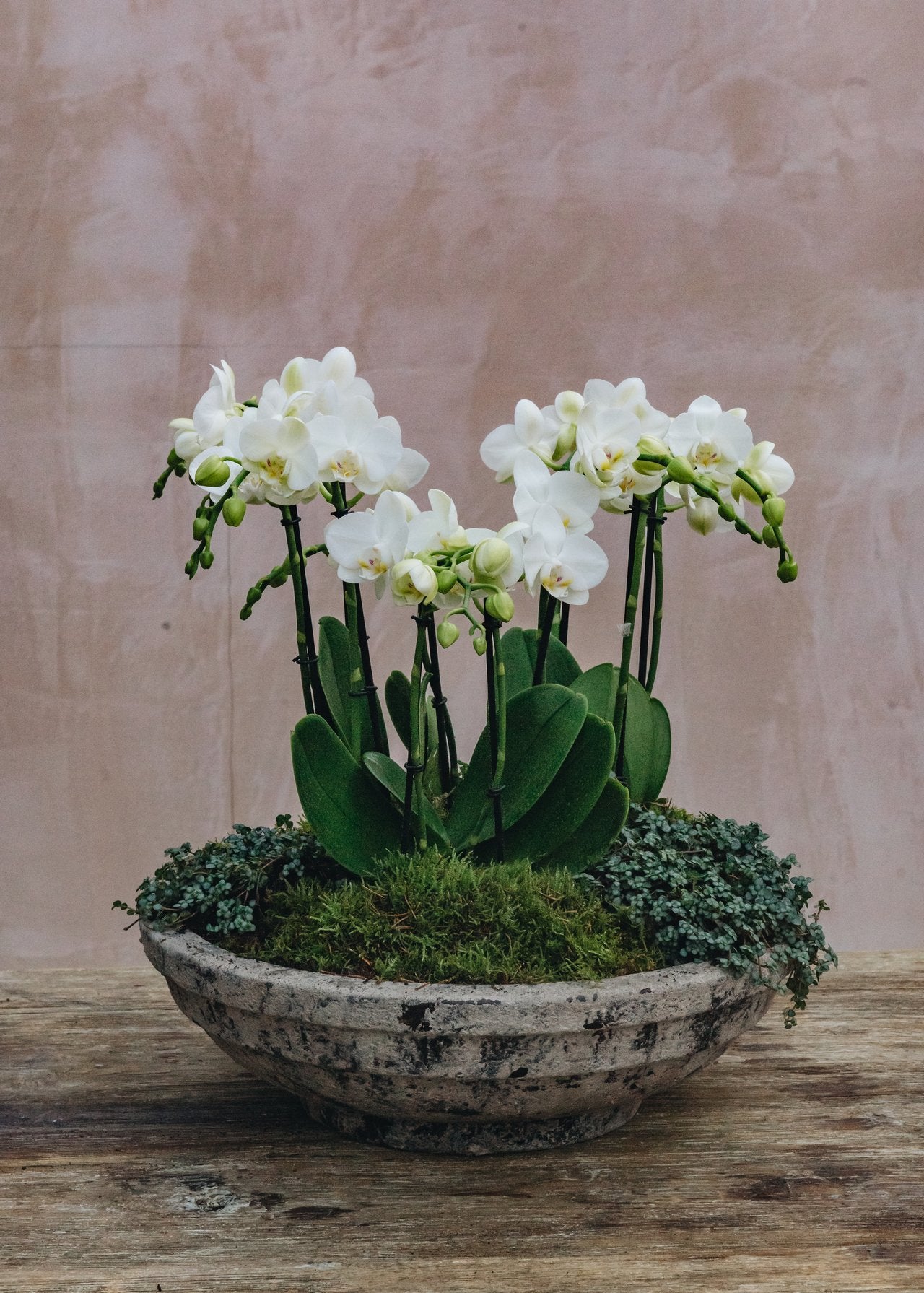 How to: Create an Orchid Arrangement