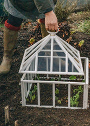 Propagation & Preparation