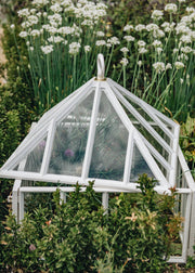 Greenhouses & Cloches