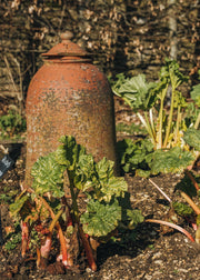 Vegetable Crowns & Tubers