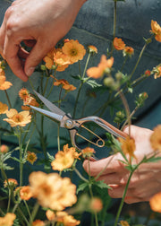 Japanese Garden Tools