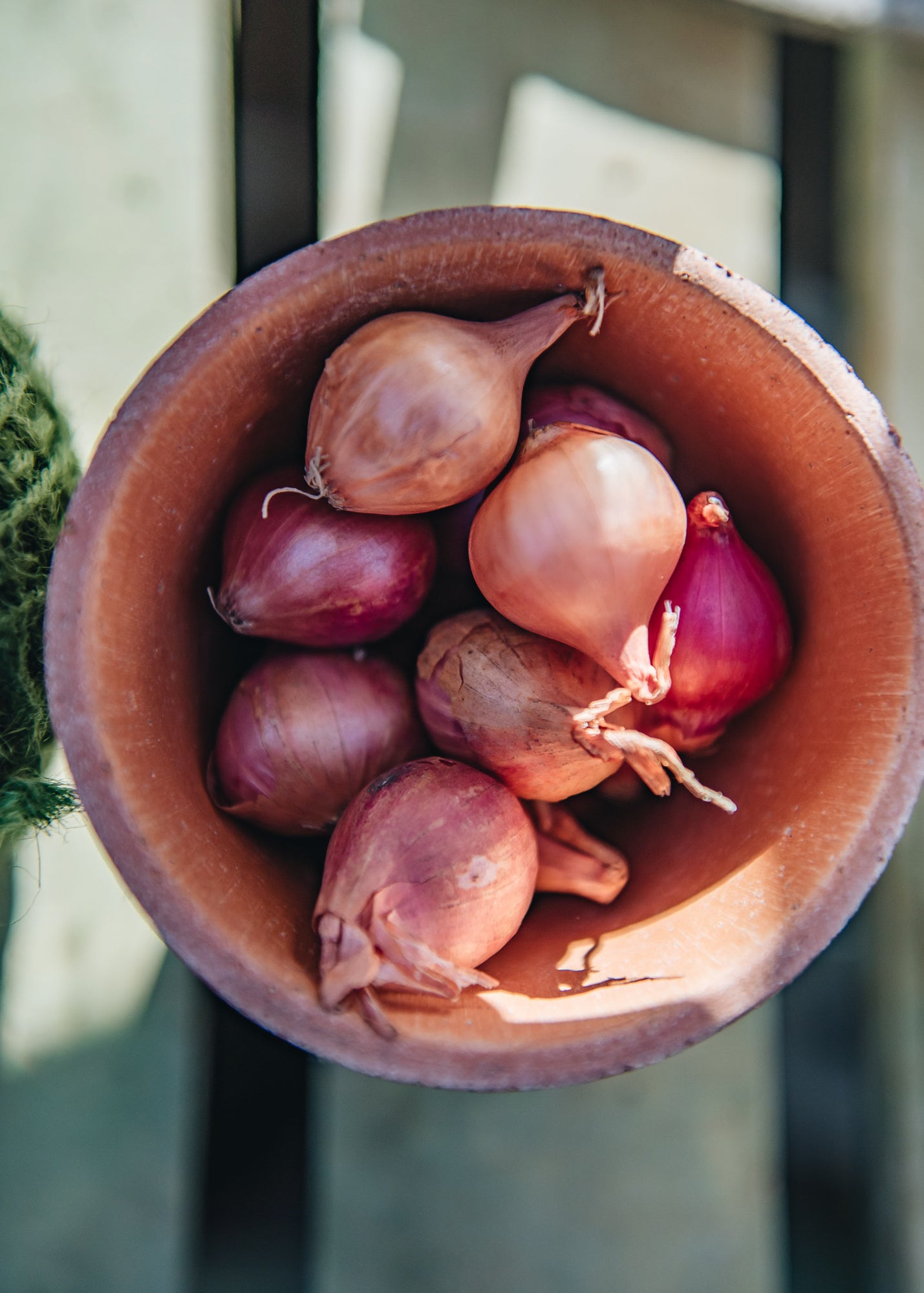 Onion, Shallot & Garlic Sets