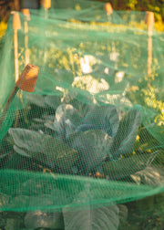 Pest & Weather Protection