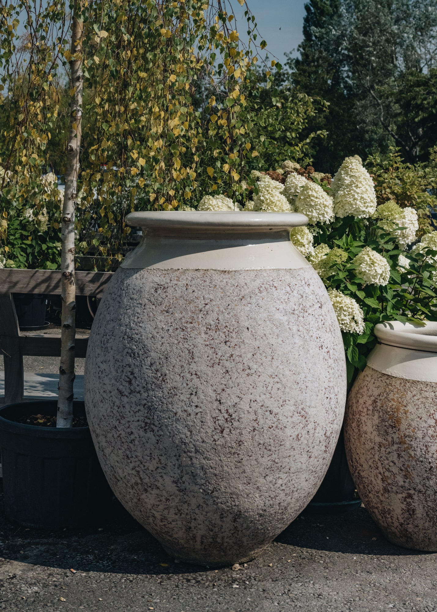 Olive Pot with Ivory Neck, 130cm