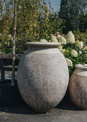 Olive Pot with Ivory Neck, 130cm