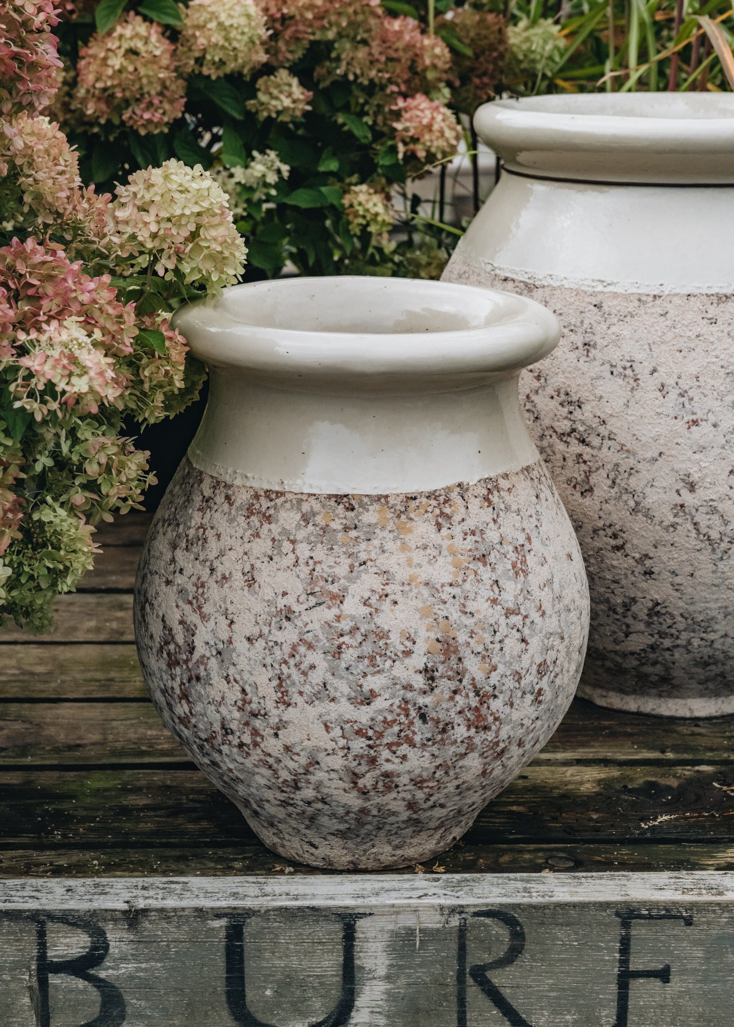 Terres D'Albine Oil Jar Pot with Ivory Neck, 45cm