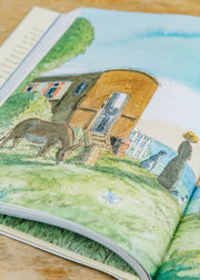 Children's Books Animal Magic: Four Stories of the Great Outdoors