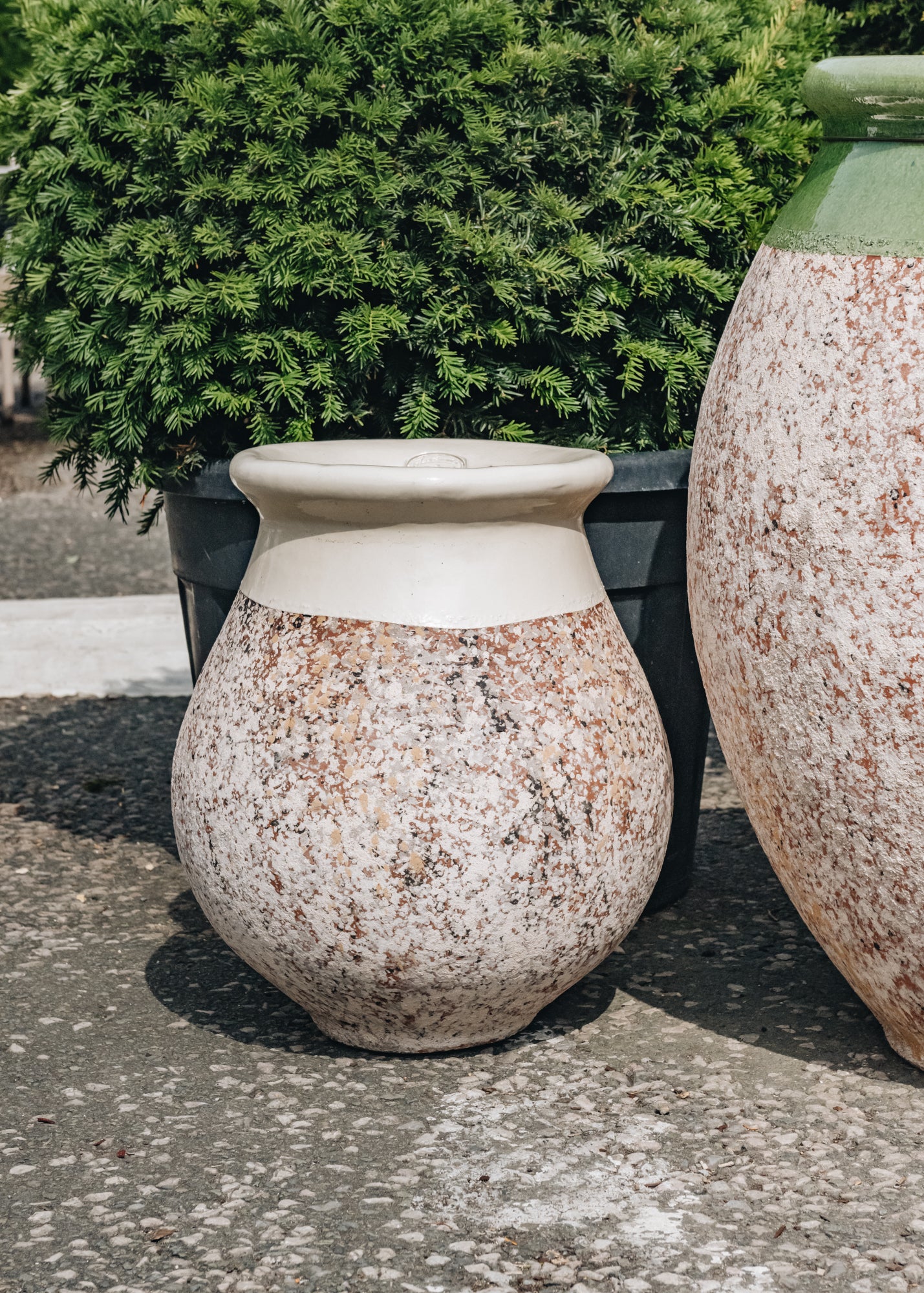 Terres D'Albine Oil Jar Pot with Ivory Neck, 55cm