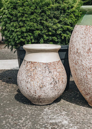 Terres D'Albine Oil Jar Pot with Ivory Neck, 55cm