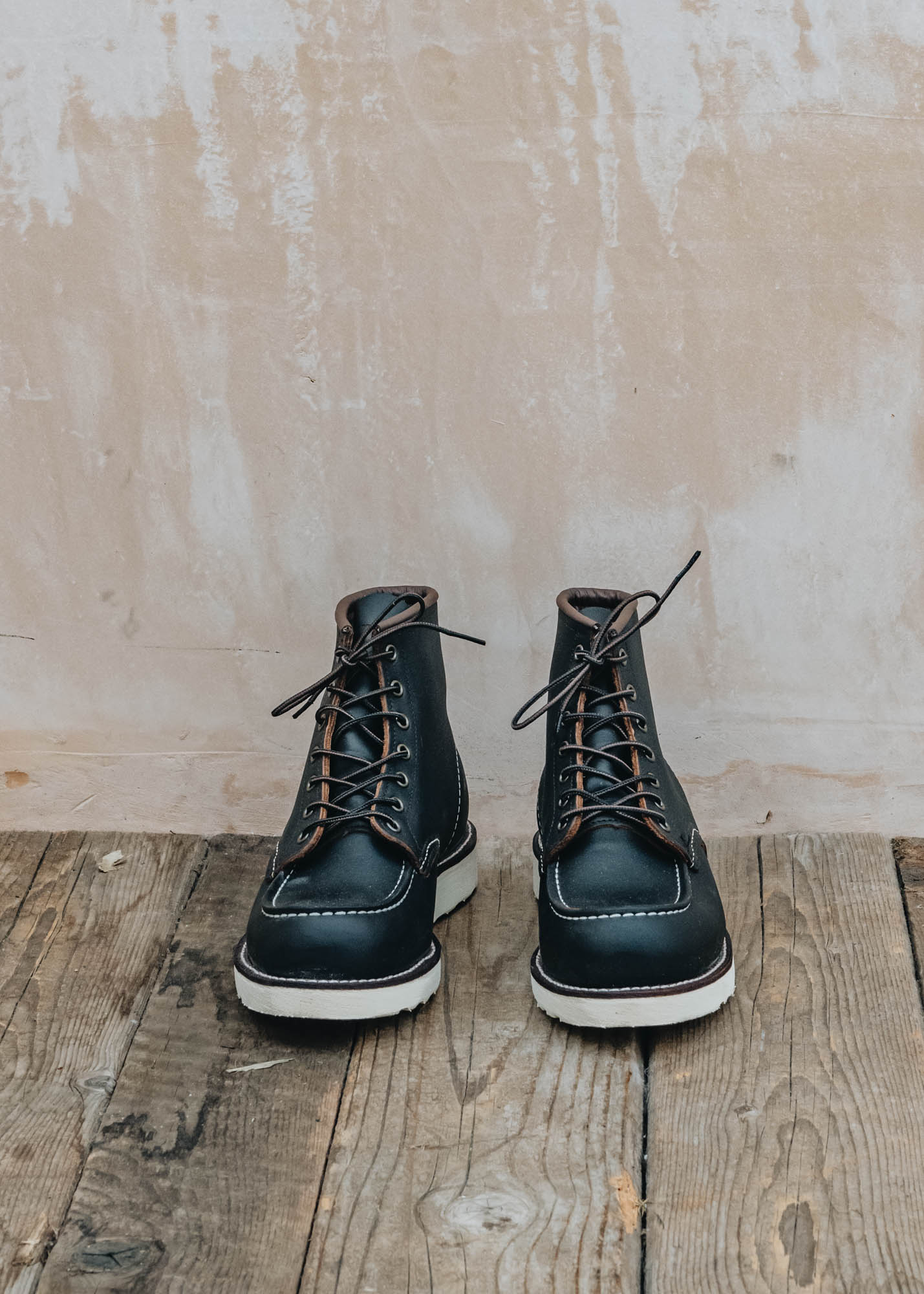 Red wing black prairie online