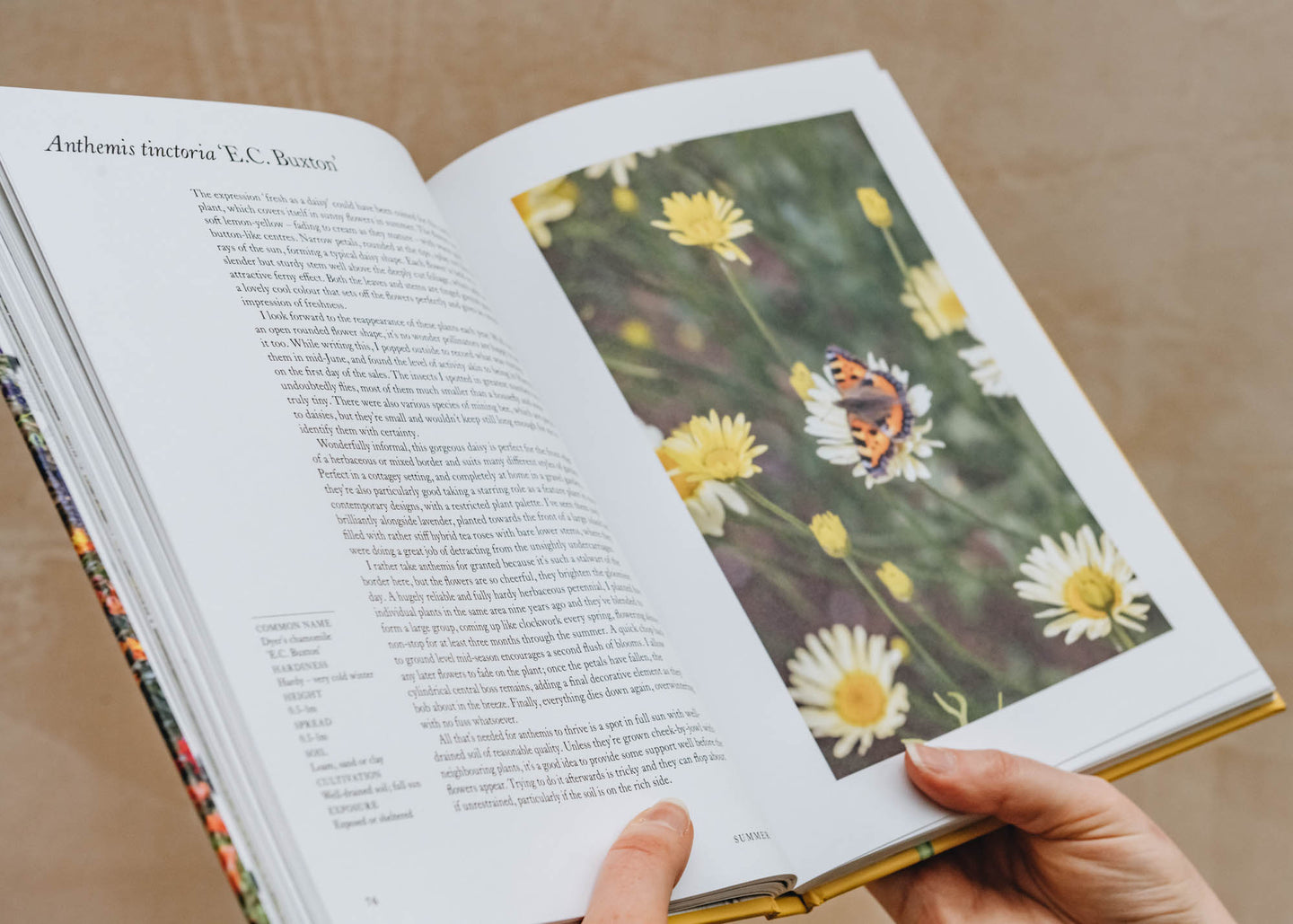 Garden and Plants Books A Flower Garden for Pollinators by Rachel de Thame
