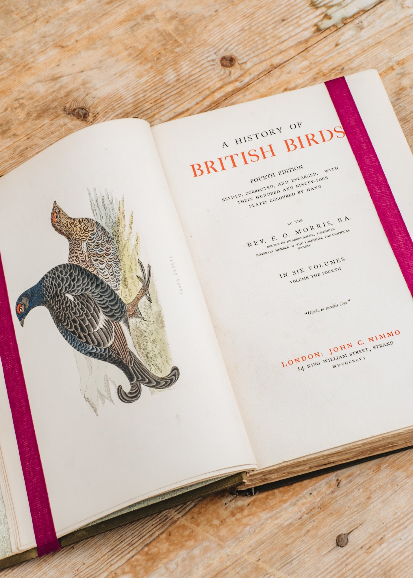 ★英国鳥類図鑑 モリス A History of British Birds ☆英国鳥類図鑑 モリス A History of British Birds A History