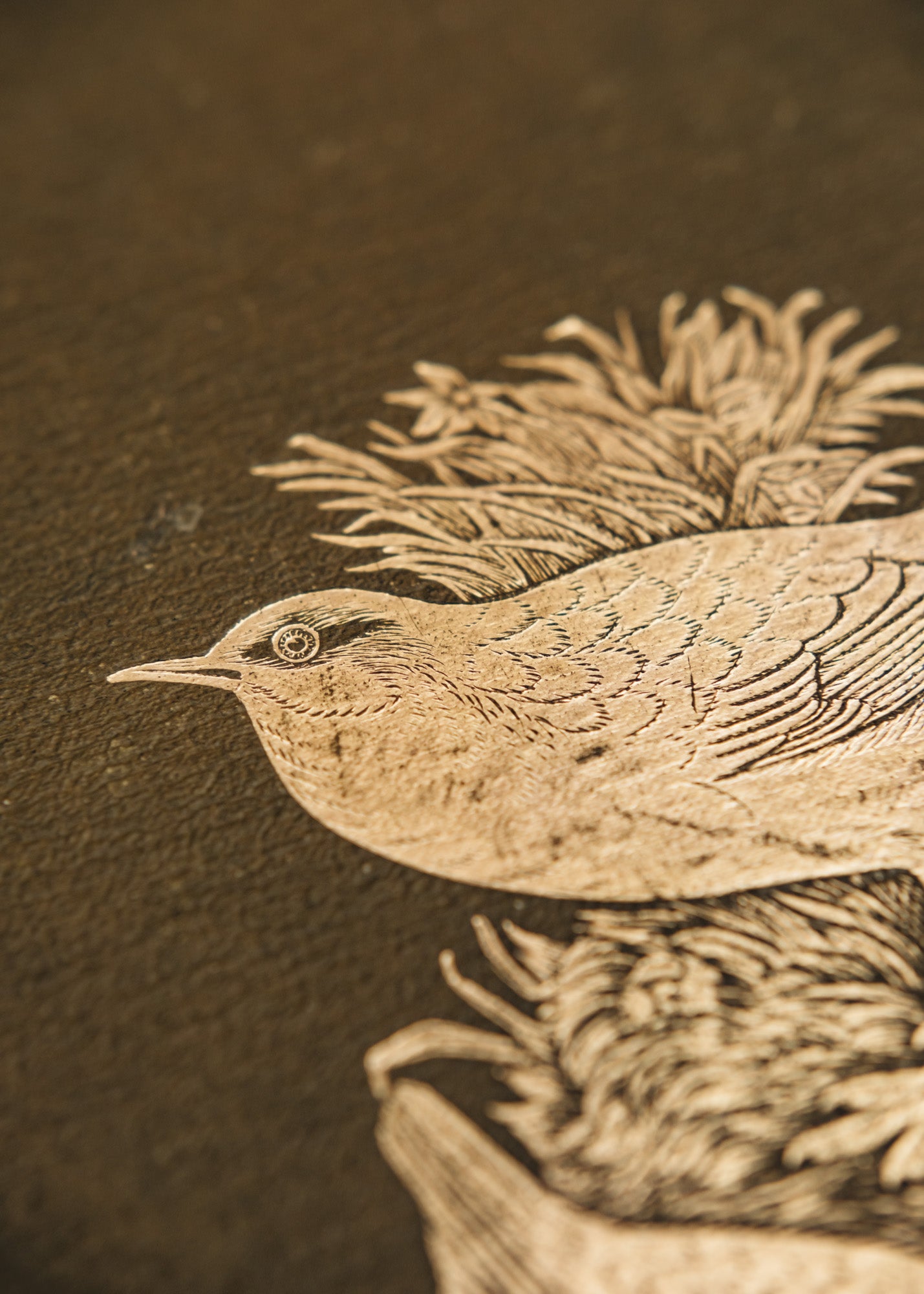 ★英国鳥類図鑑 モリス A History of British Birds A History of British Birds, Rev. F.O. Morris, vol. I-VI – Burford