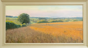 Burford Gallery Summer Sunrise on the Wheat Fields, Windrush Valley
