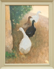Burford Gallery The Inquisitive Ducks