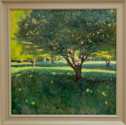 Under the Field - Maples