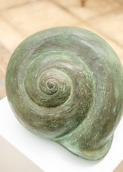 Burford Gallery Snail