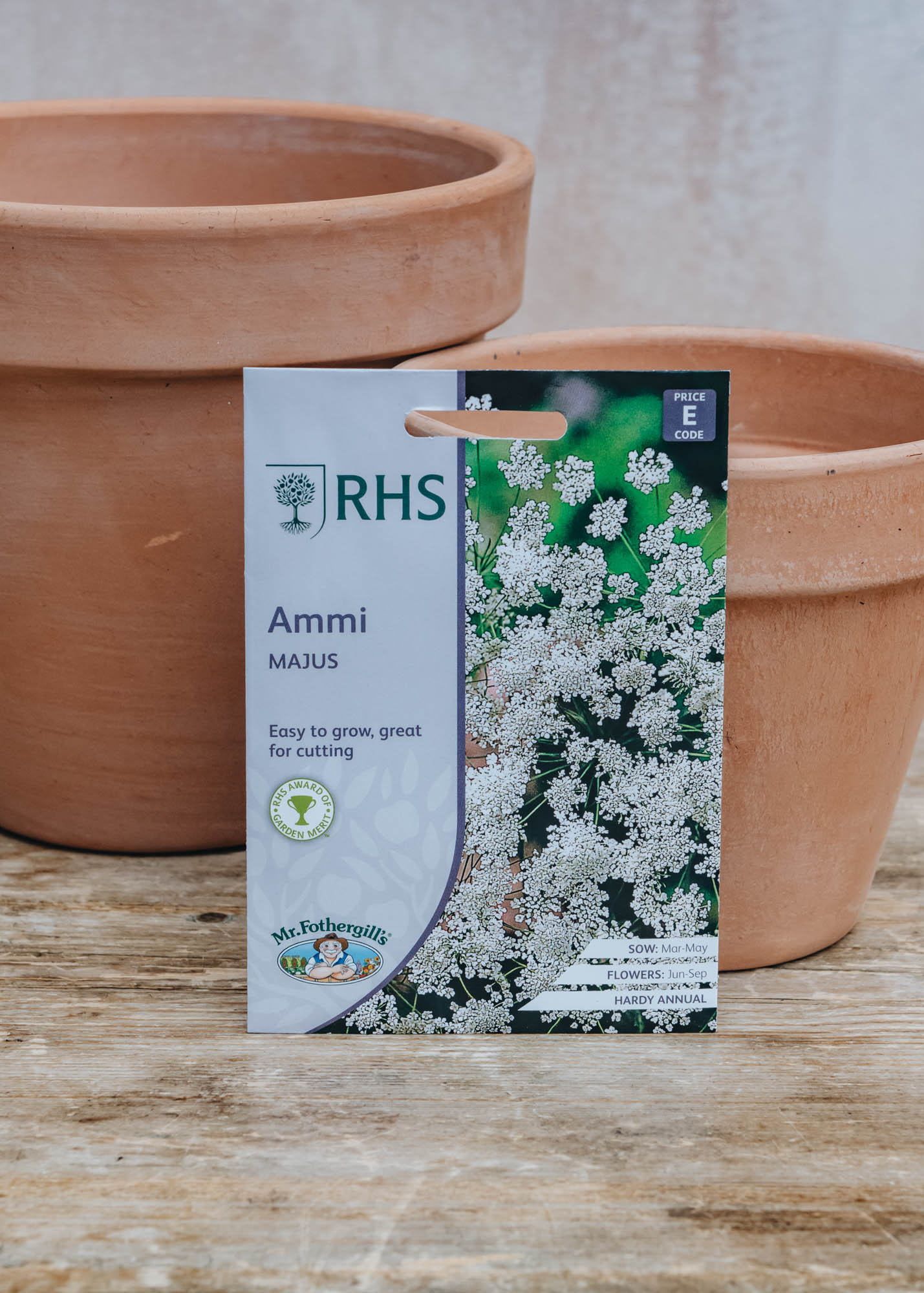Seeds of Italy Ammi majus Seeds