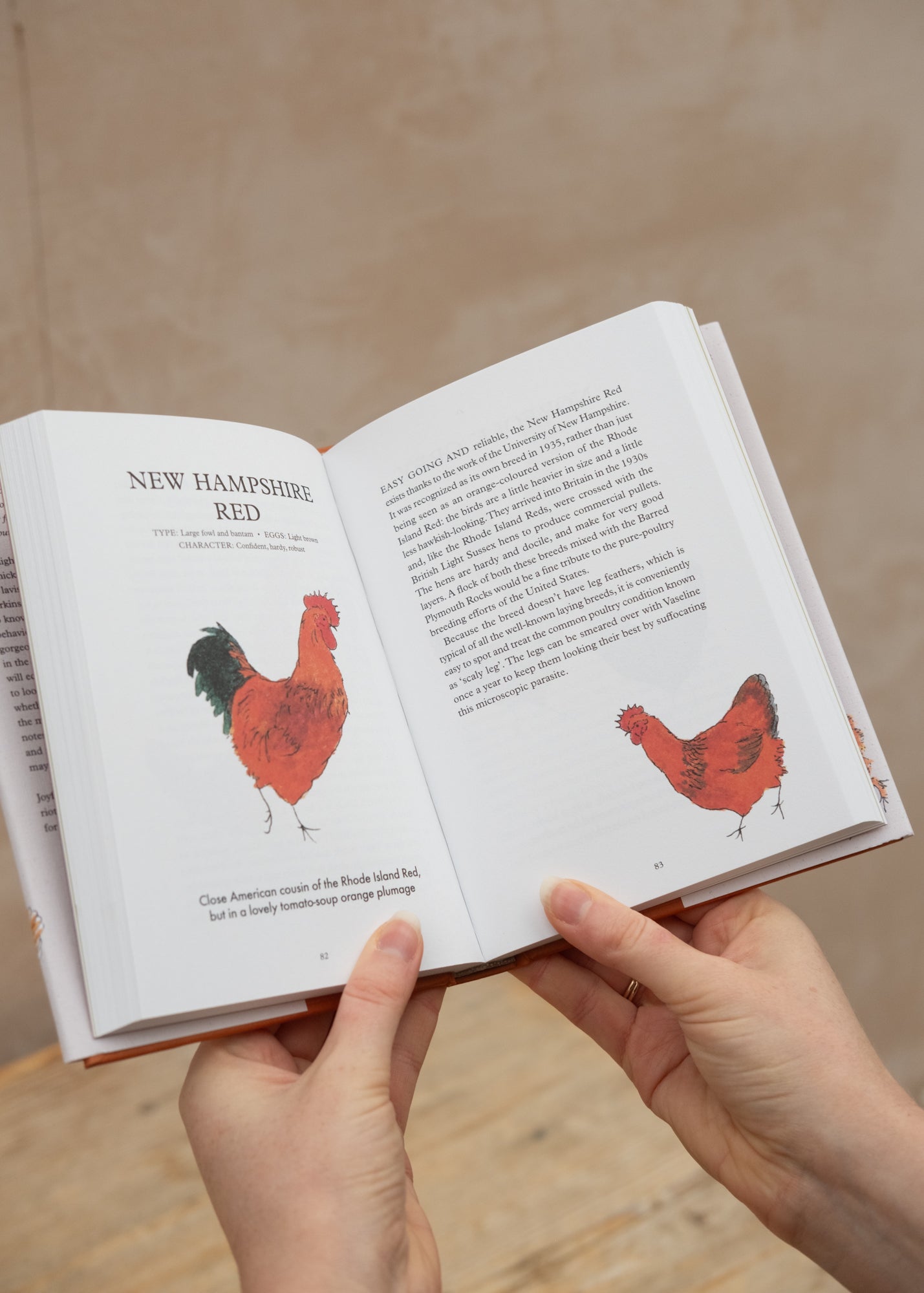 Books Hen Party: A Celebration