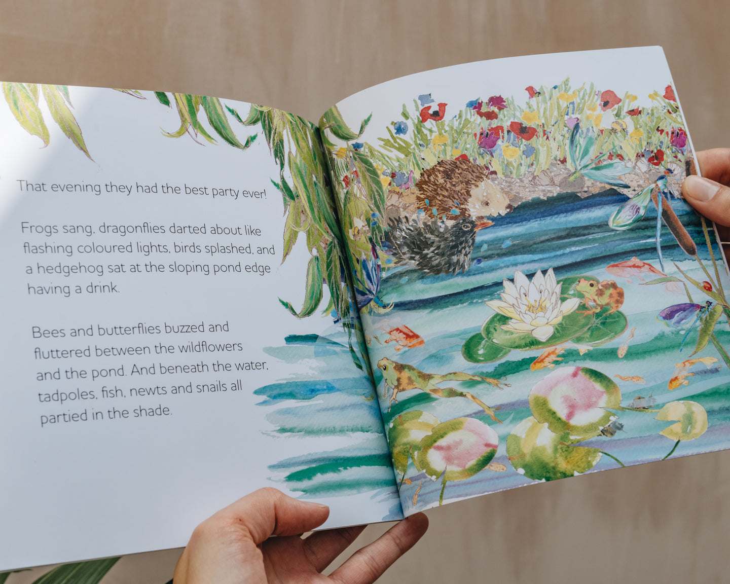 Children's Books On the Top of Dudley's Pond