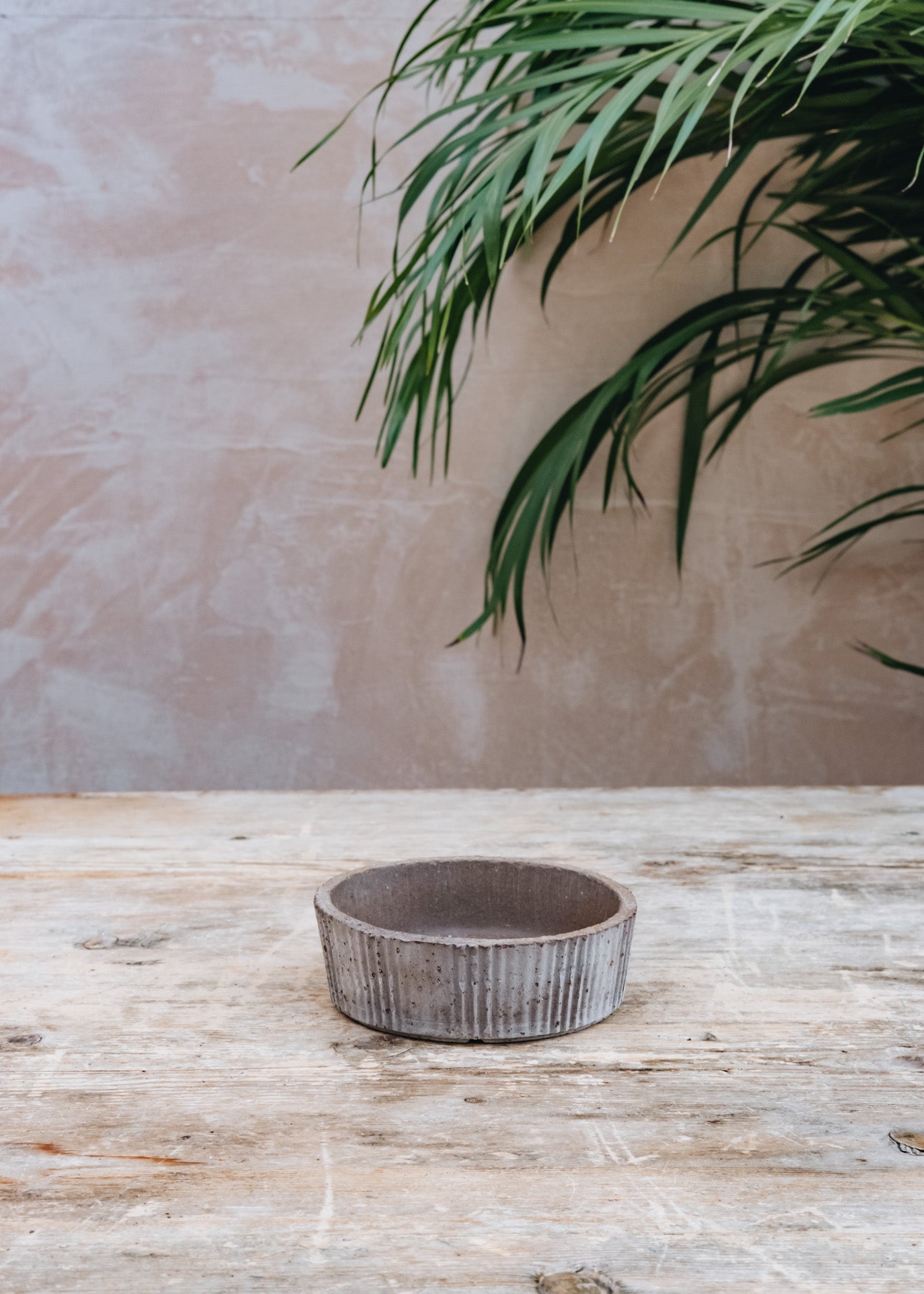 Bergs Potter Grey Atlas Saucers