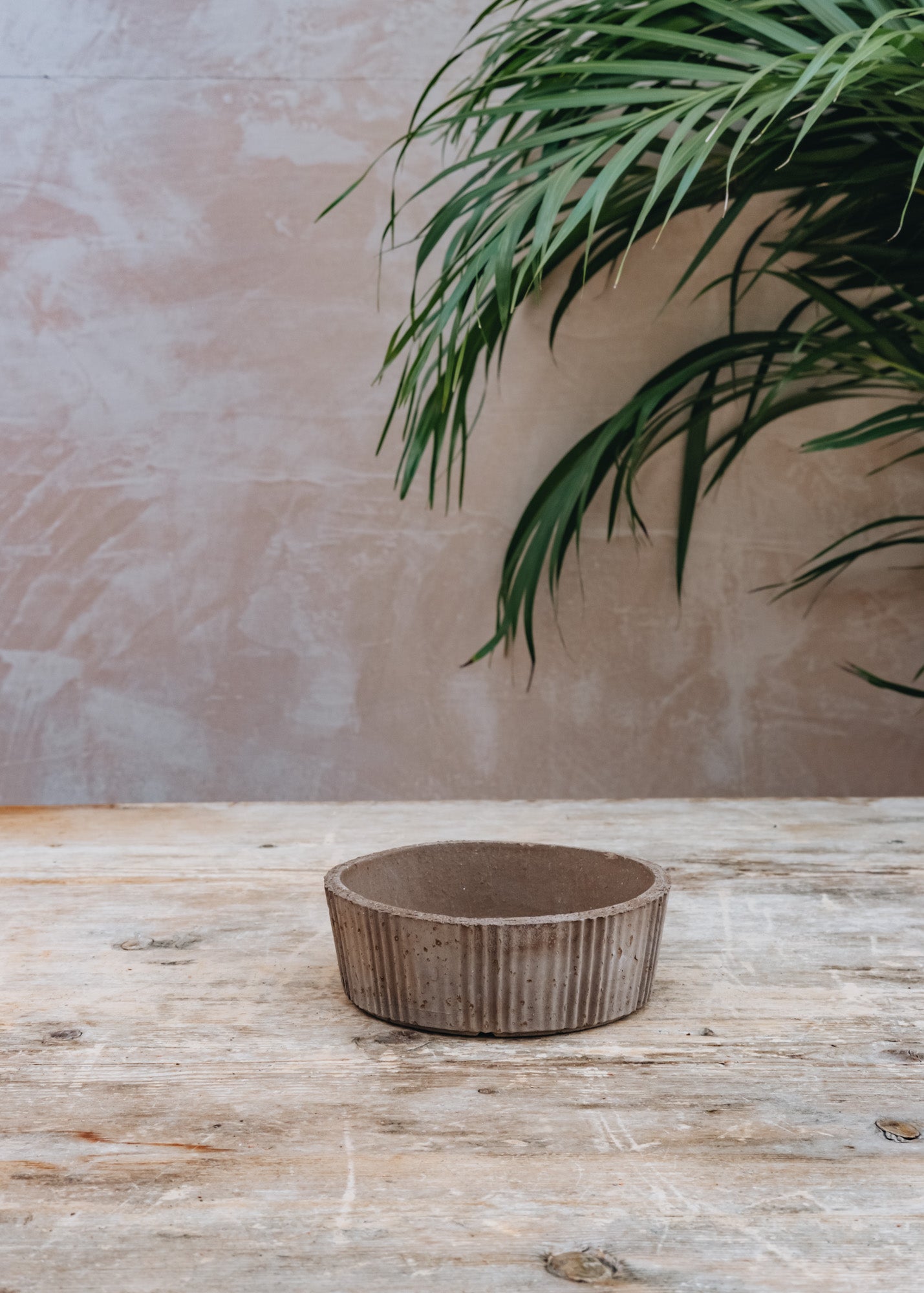 Bergs Potter Grey Atlas Saucers
