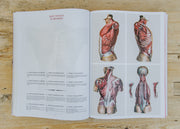 Books Atlas of Human Anatomy and Surgery
