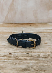 Georgie Paws Bald Leather Dog Collar in Navy