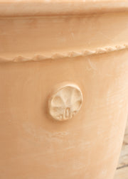 Barbary Large Coquille Pot