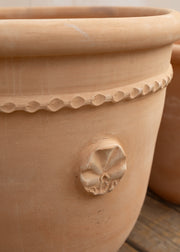 Barbary Small Coquille Pot