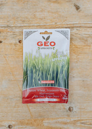 Organic Sprouting Wheat Seeds, 80g